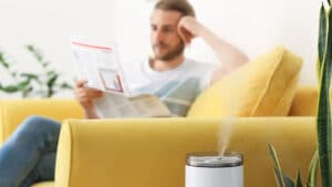 ¿Dónde poner el humidificador?